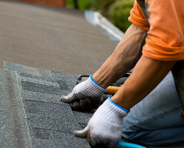 Professional Roofing Contractor in Whitewater, WI